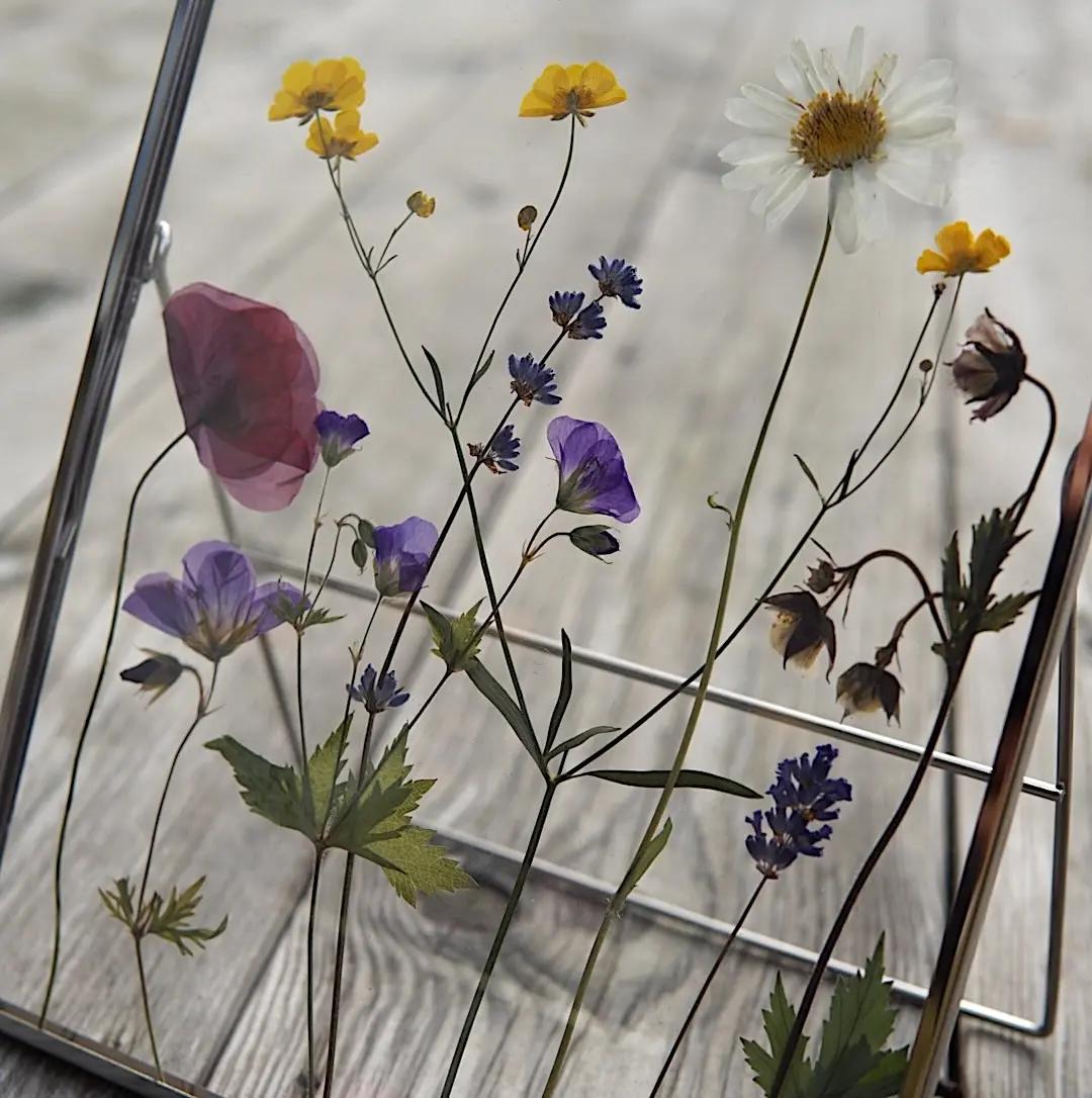pressade blommor i en tavla